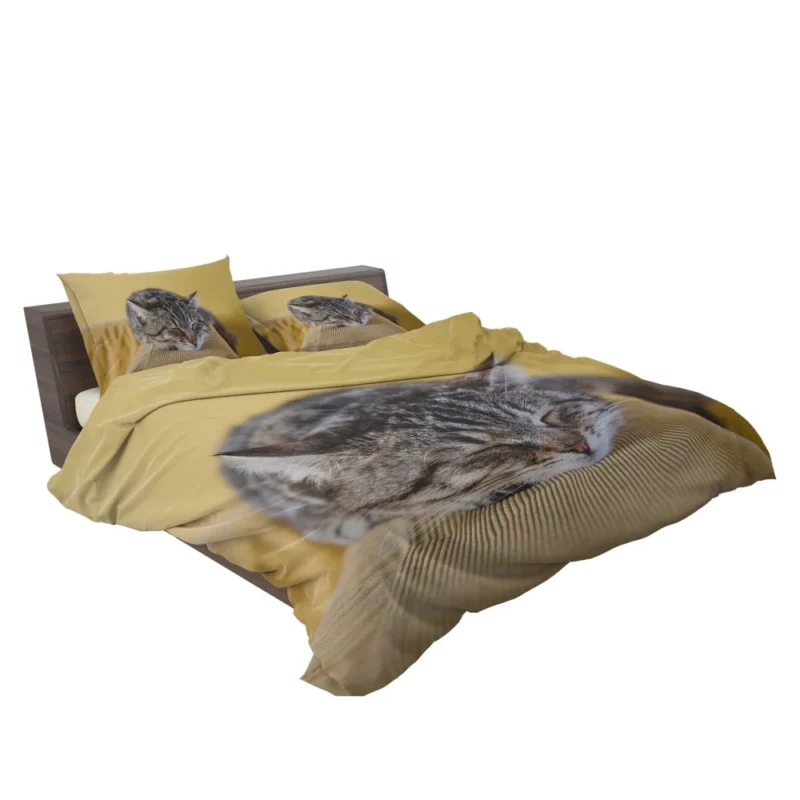 Sleeping Kitten Dreamy Repose Bedding Set 2