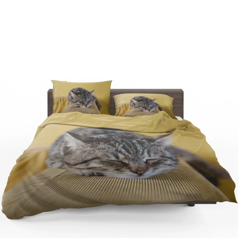 Sleeping Kitten Dreamy Repose Bedding Set