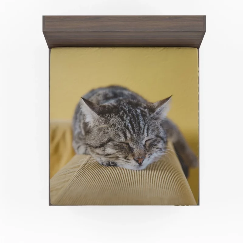 Sleeping Kitten Dreamy Repose Fitted Sheet 1