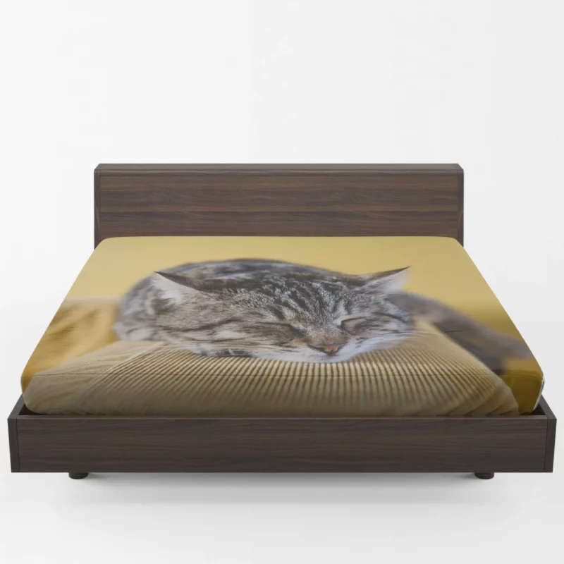 Sleeping Kitten Dreamy Repose Fitted Sheet