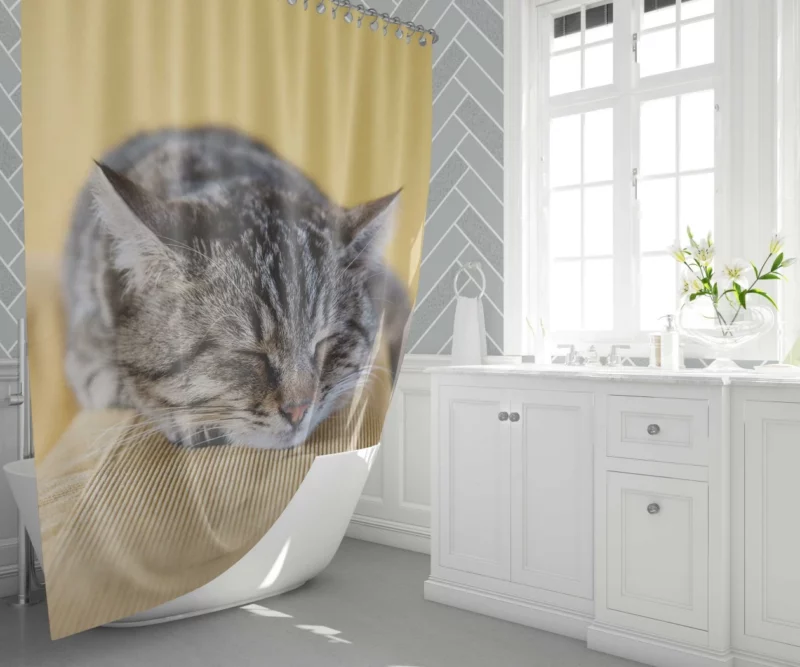 Sleeping Kitten Dreamy Repose Shower Curtain 1