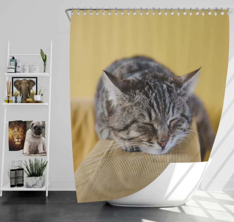 Sleeping Kitten Dreamy Repose Shower Curtain