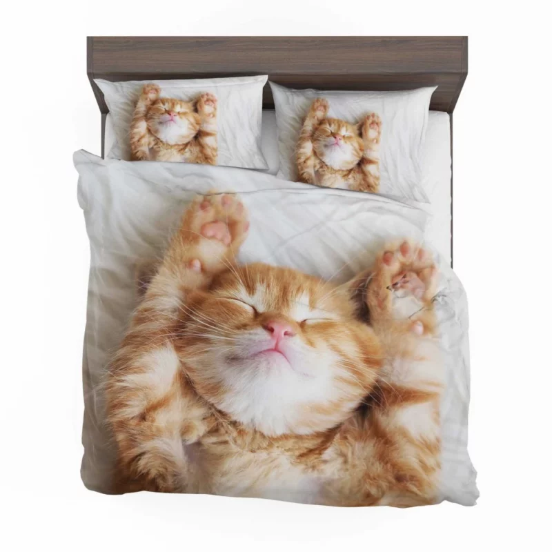 Sleeping Kitten Dreamy Slumber Bedding Set 1