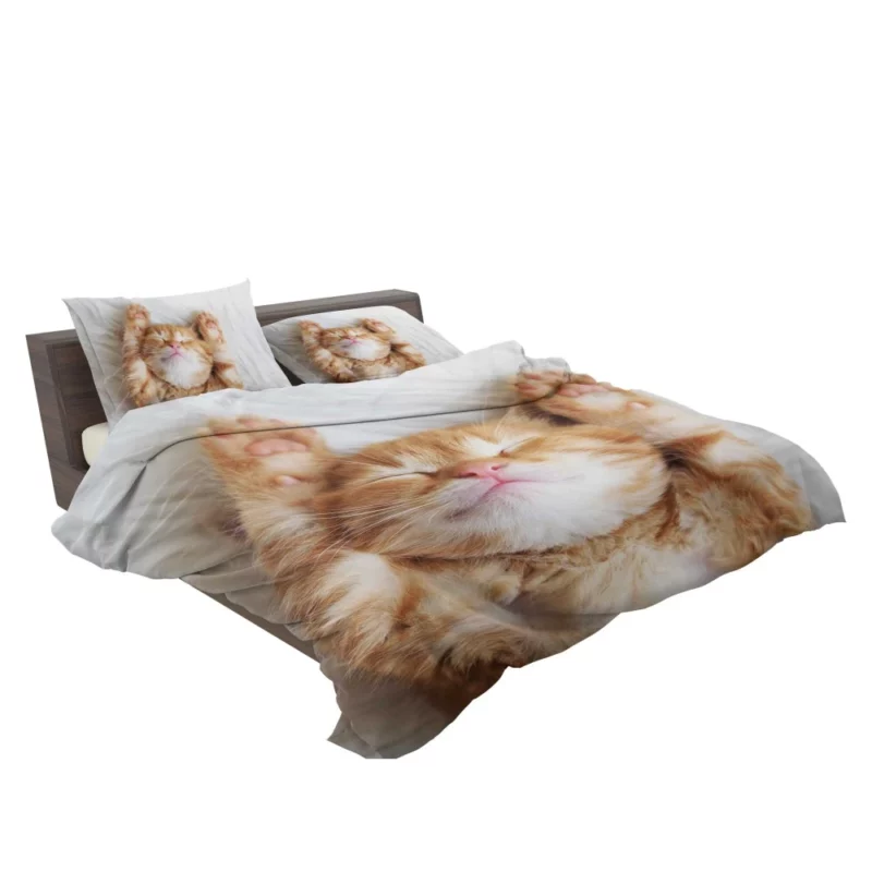 Sleeping Kitten Dreamy Slumber Bedding Set 2