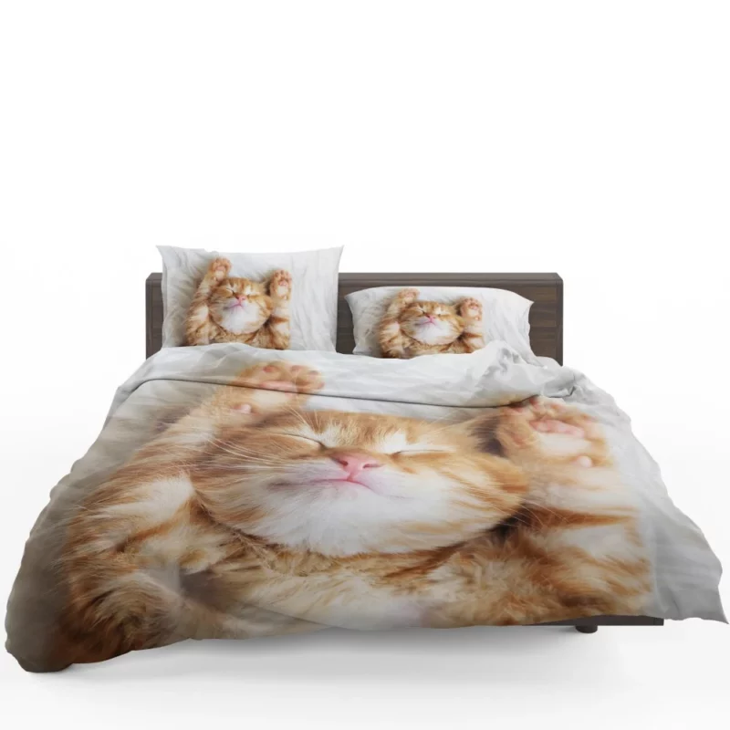 Sleeping Kitten Dreamy Slumber Bedding Set