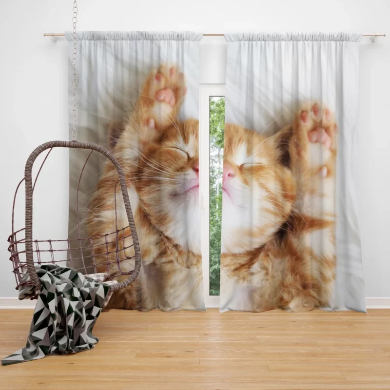 Sleeping Kitten Dreamy Slumber Curtain