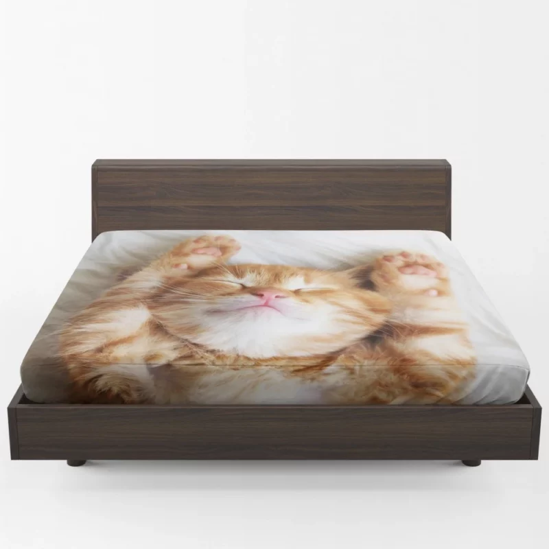 Sleeping Kitten Dreamy Slumber Fitted Sheet