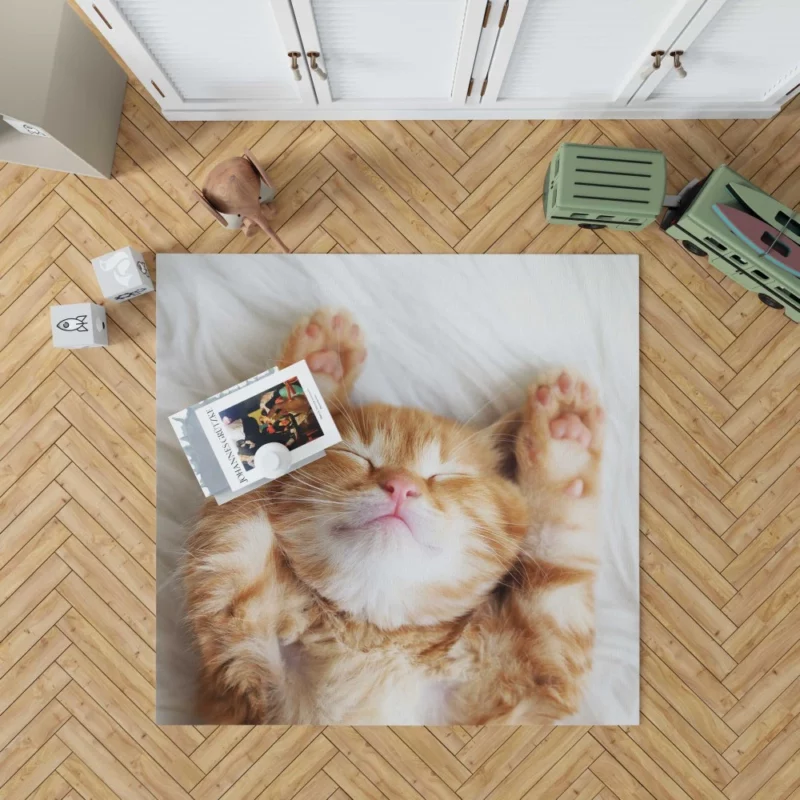 Sleeping Kitten Dreamy Slumber Rug