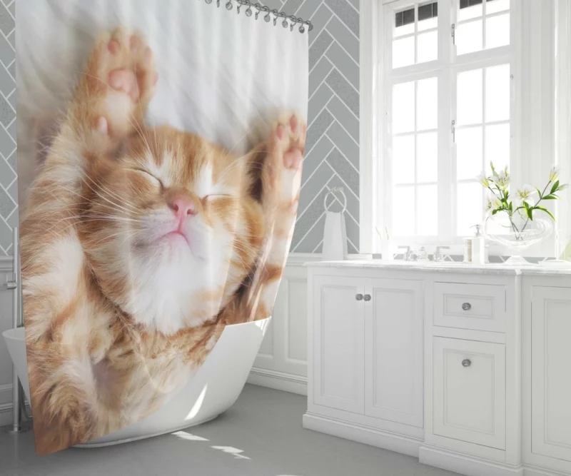 Sleeping Kitten Dreamy Slumber Shower Curtain 1