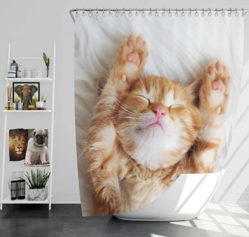 Sleeping Kitten Dreamy Slumber Shower Curtain