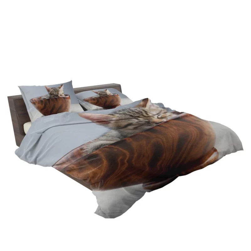 Sleeping Kitten Innocent Slumber Bedding Set 2