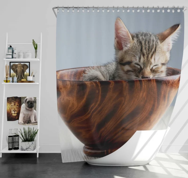 Sleeping Kitten Innocent Slumber Shower Curtain