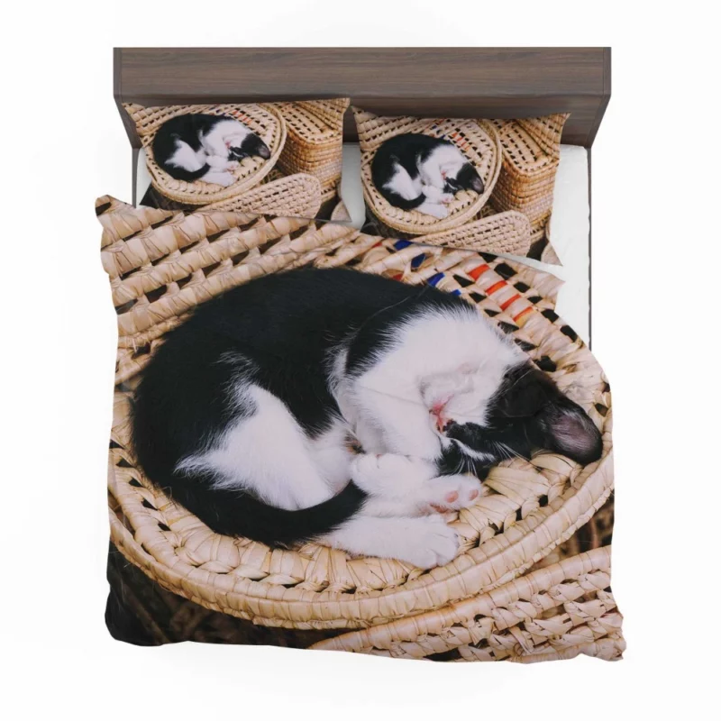 Sleeping Kitten in Cozy Basket Bedding Set 1