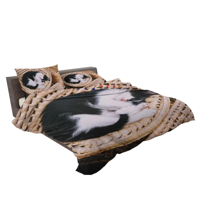 Sleeping Kitten in Cozy Basket Bedding Set 2