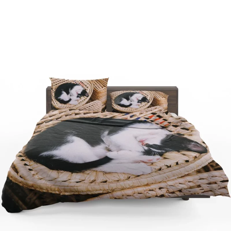 Sleeping Kitten in Cozy Basket Bedding Set