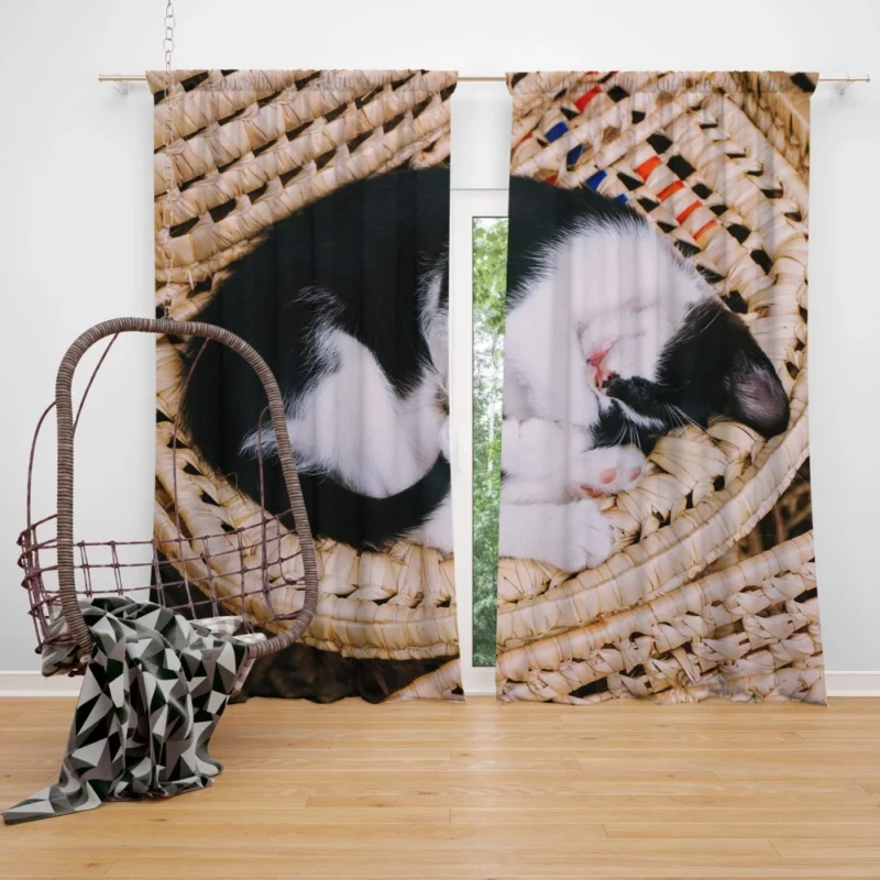 Sleeping Kitten in Cozy Basket Curtain