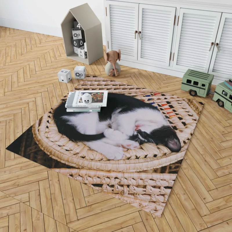 Sleeping Kitten in Cozy Basket Rug 1