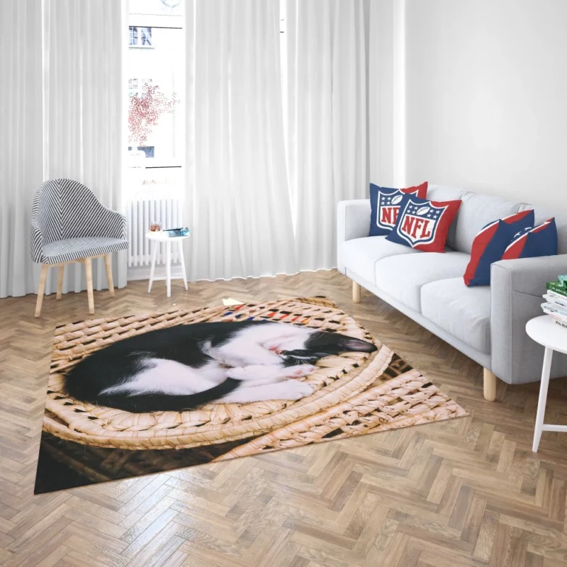 Sleeping Kitten in Cozy Basket Rug 2