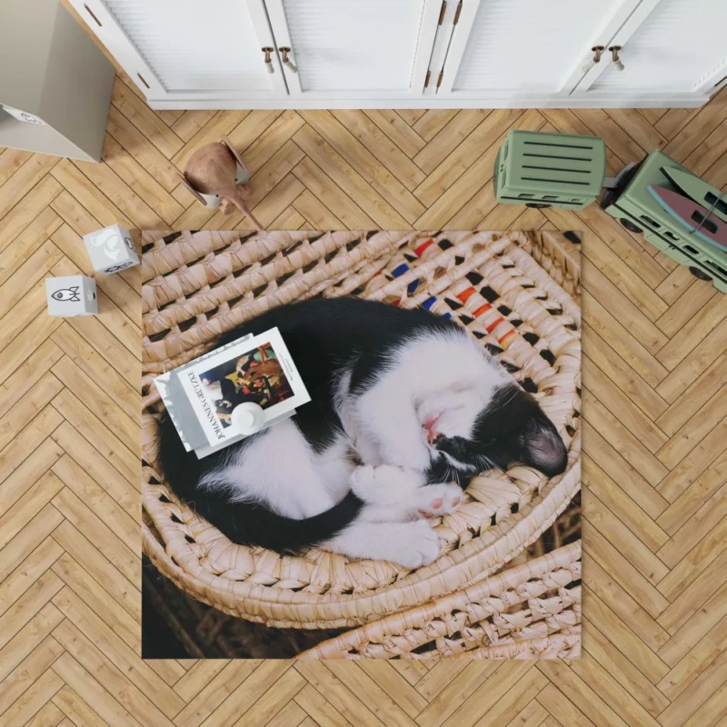 Sleeping Kitten in Cozy Basket Rug