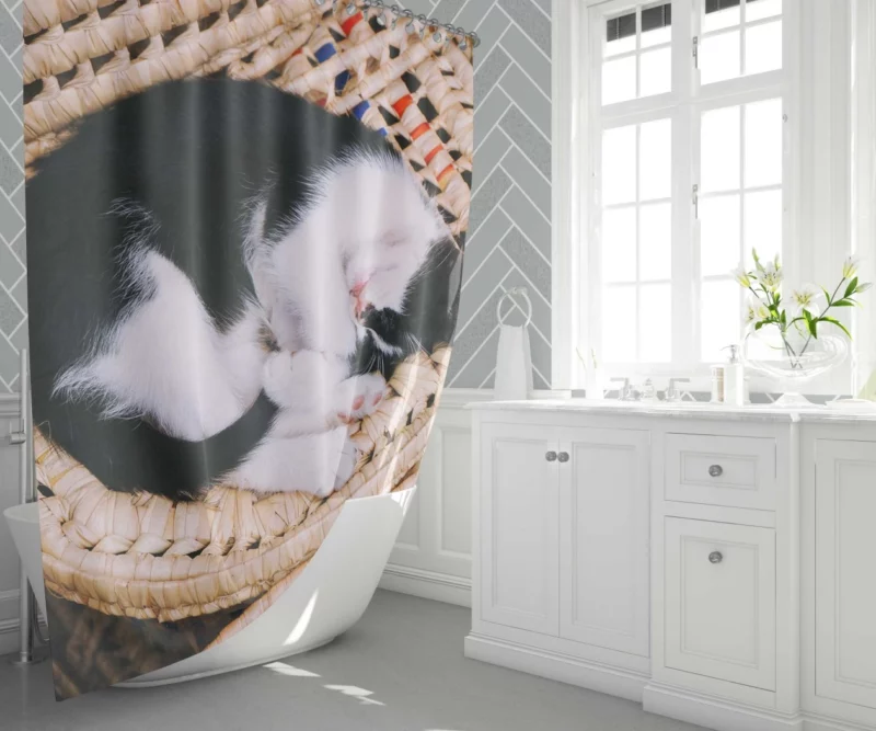 Sleeping Kitten in Cozy Basket Shower Curtain 1