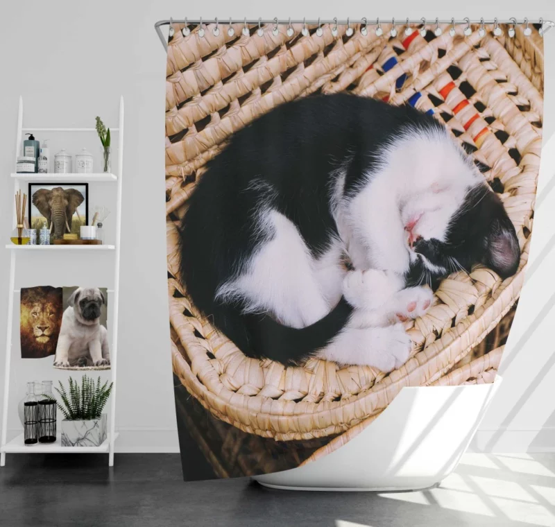 Sleeping Kitten in Cozy Basket Shower Curtain