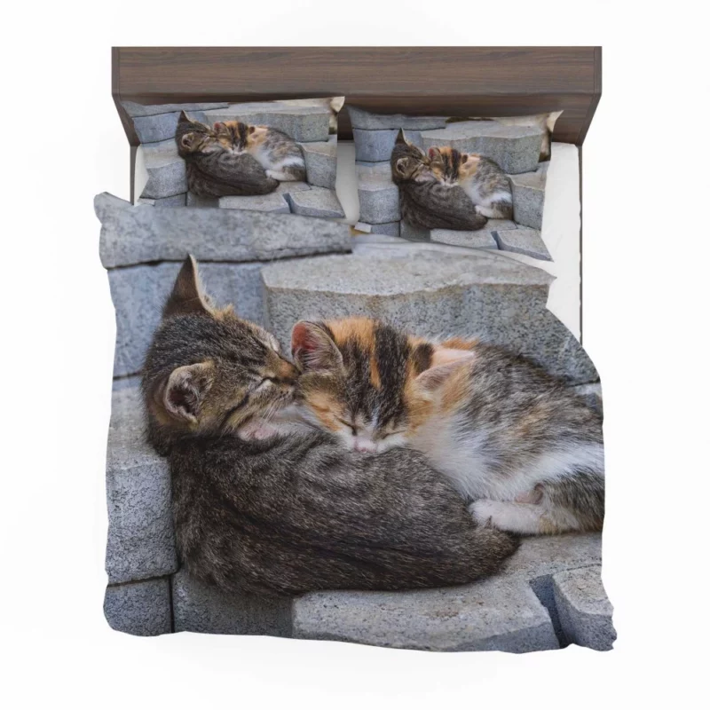 Sleeping Kitten on Stone Dreamy Innocence Bedding Set 1