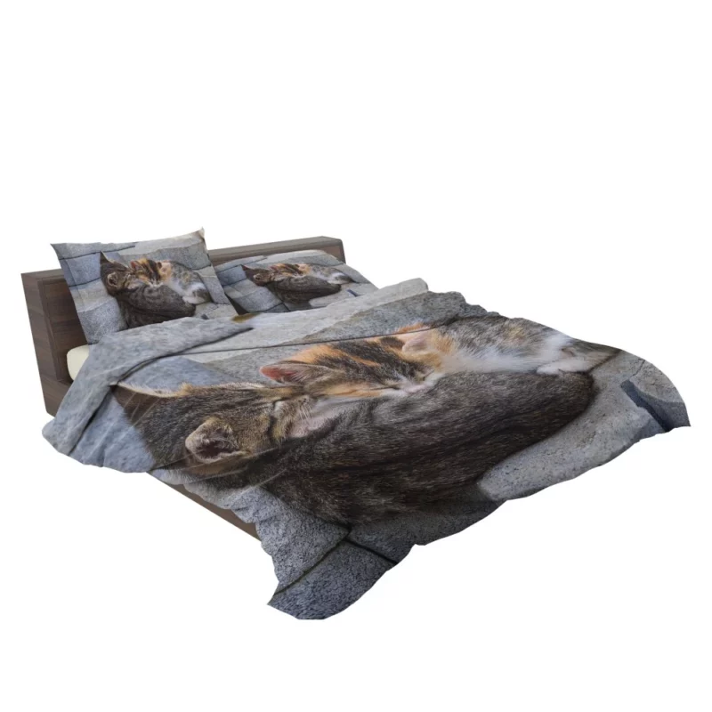 Sleeping Kitten on Stone Dreamy Innocence Bedding Set 2