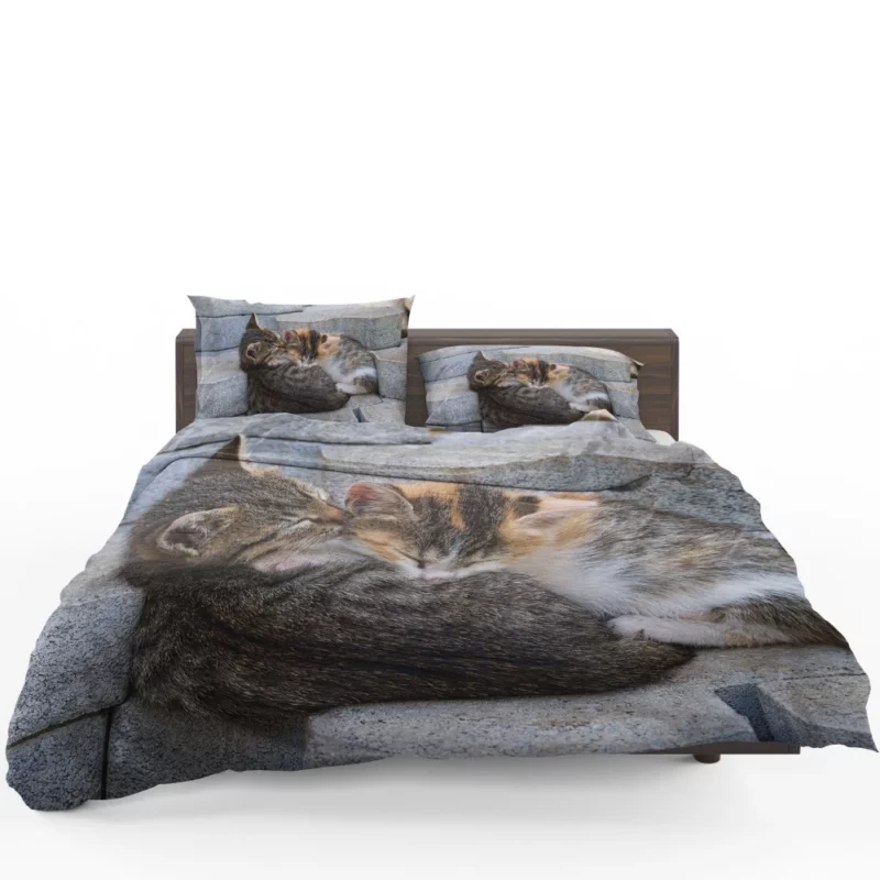 Sleeping Kitten on Stone Dreamy Innocence Bedding Set