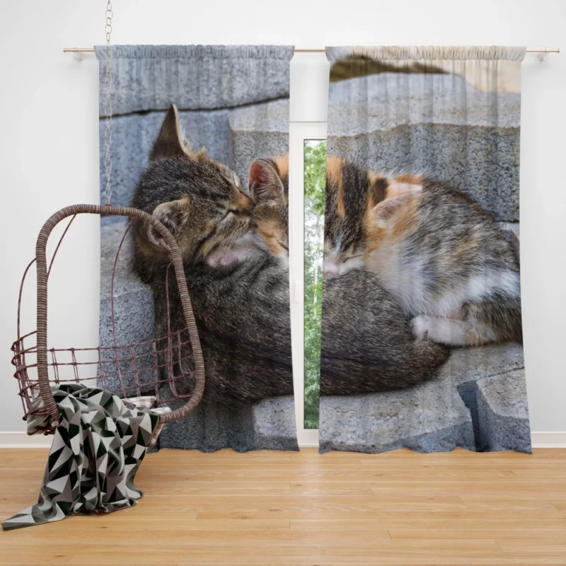 Sleeping Kitten on Stone Dreamy Innocence Curtain