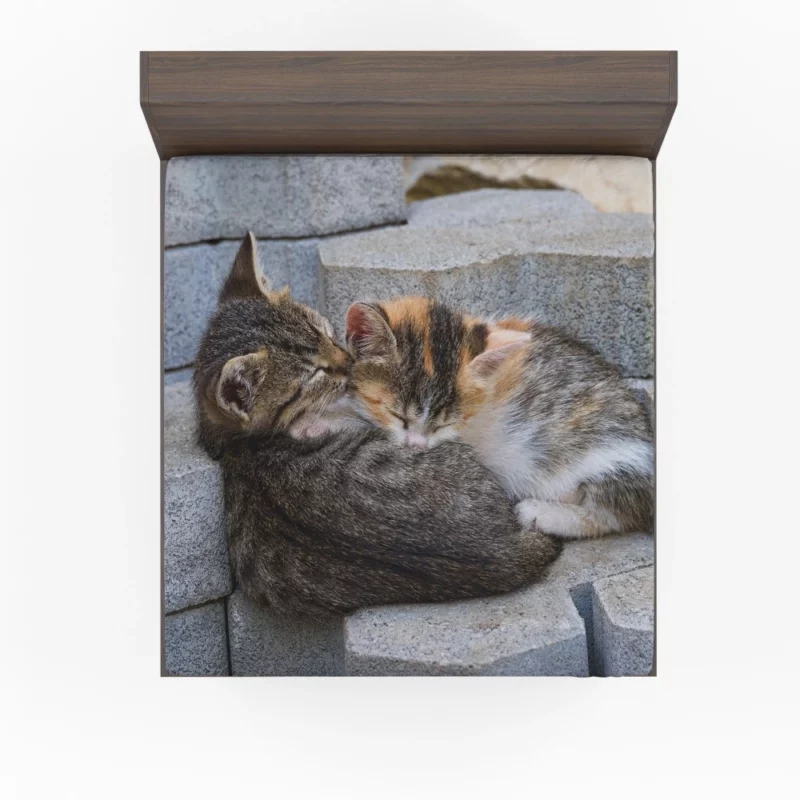 Sleeping Kitten on Stone Dreamy Innocence Fitted Sheet 1