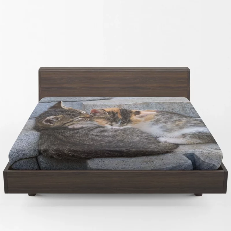 Sleeping Kitten on Stone Dreamy Innocence Fitted Sheet