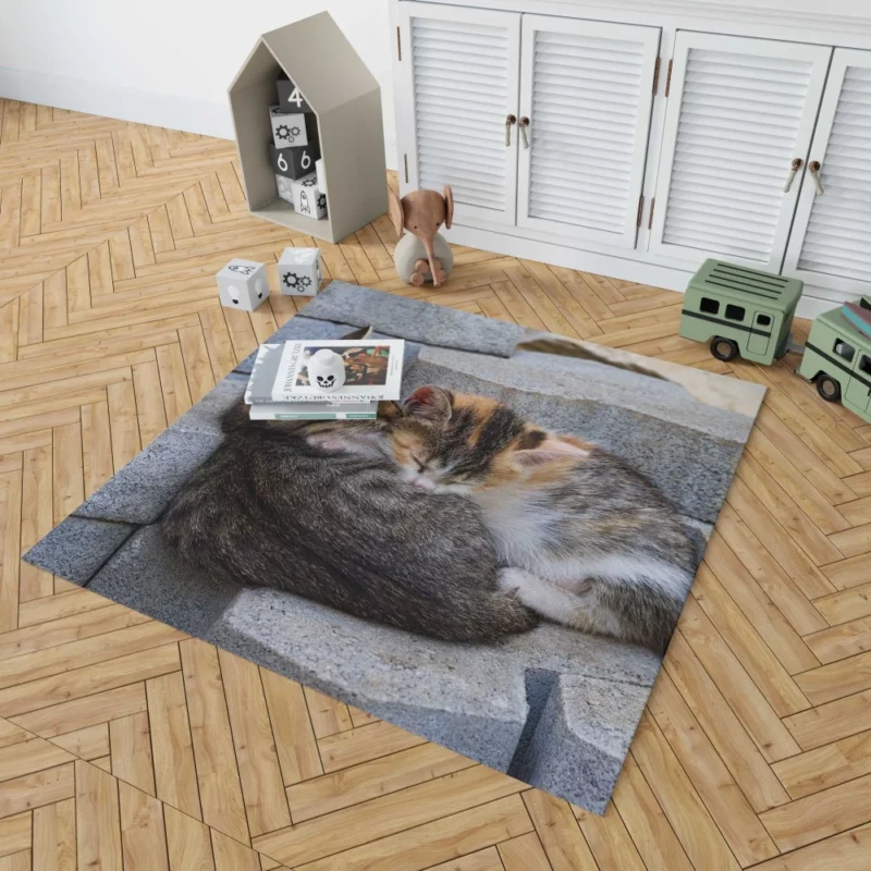 Sleeping Kitten on Stone Dreamy Innocence Rug 1