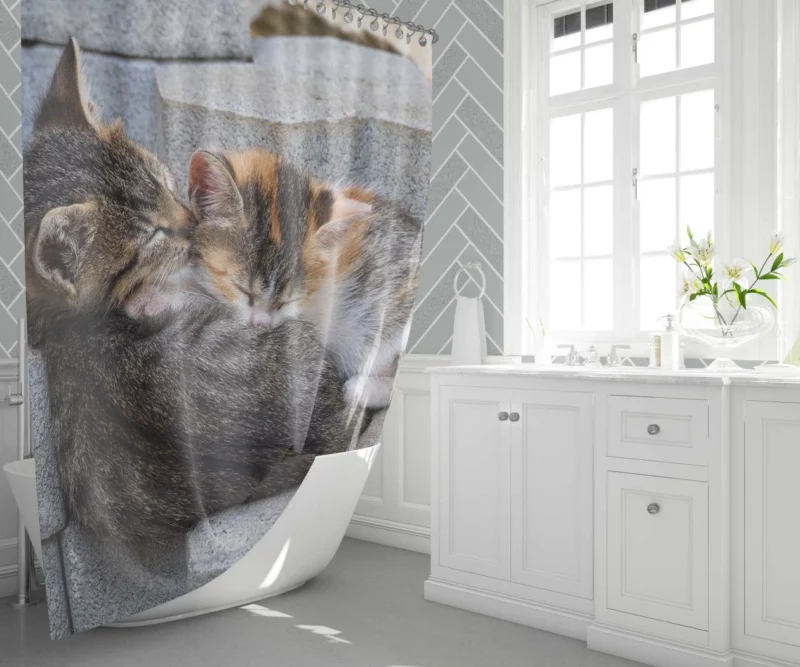 Sleeping Kitten on Stone Dreamy Innocence Shower Curtain 1