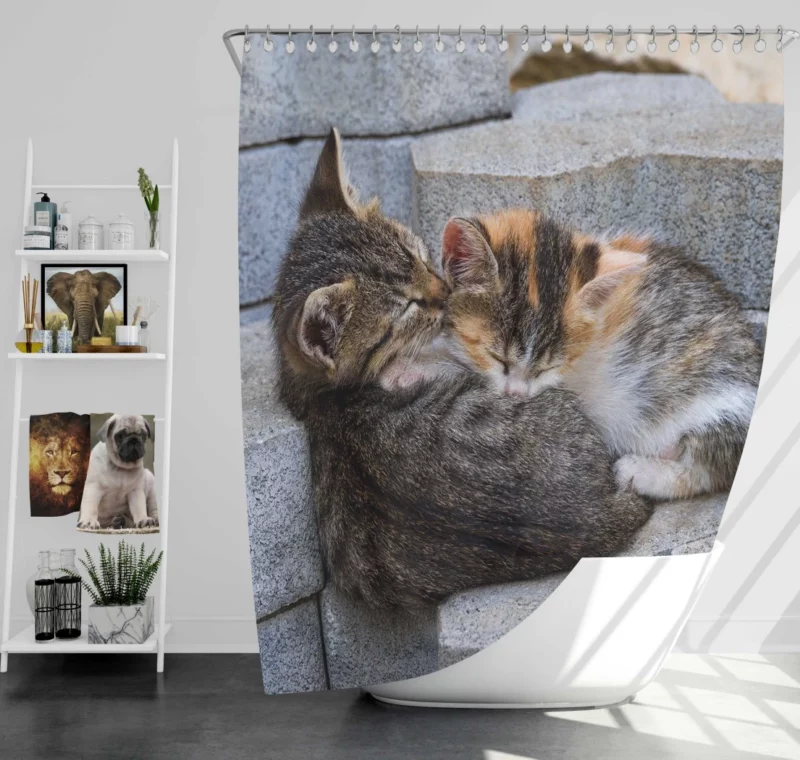 Sleeping Kitten on Stone Dreamy Innocence Shower Curtain