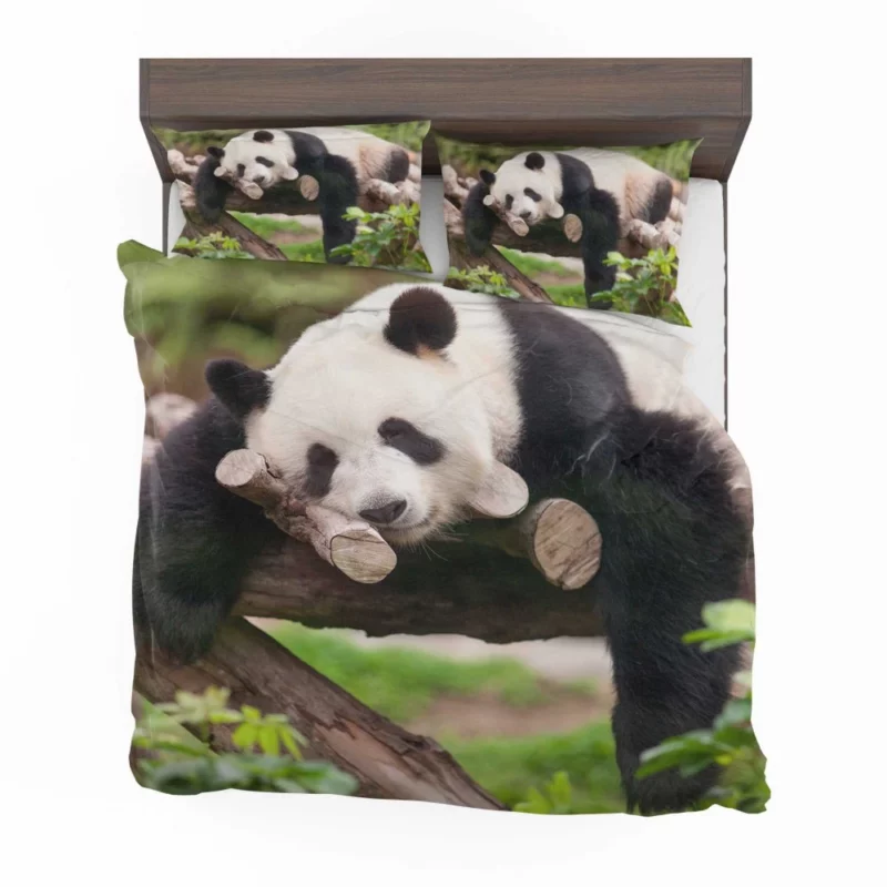 Sleeping Panda Cute Repose Bedding Set 1