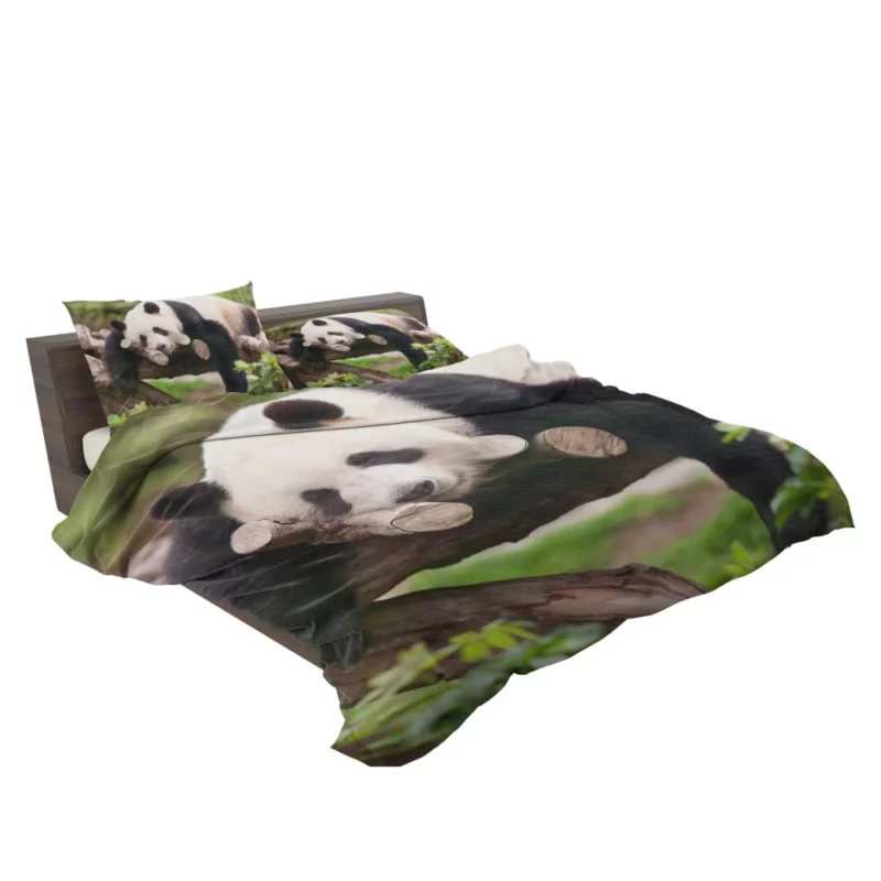 Sleeping Panda Cute Repose Bedding Set 2