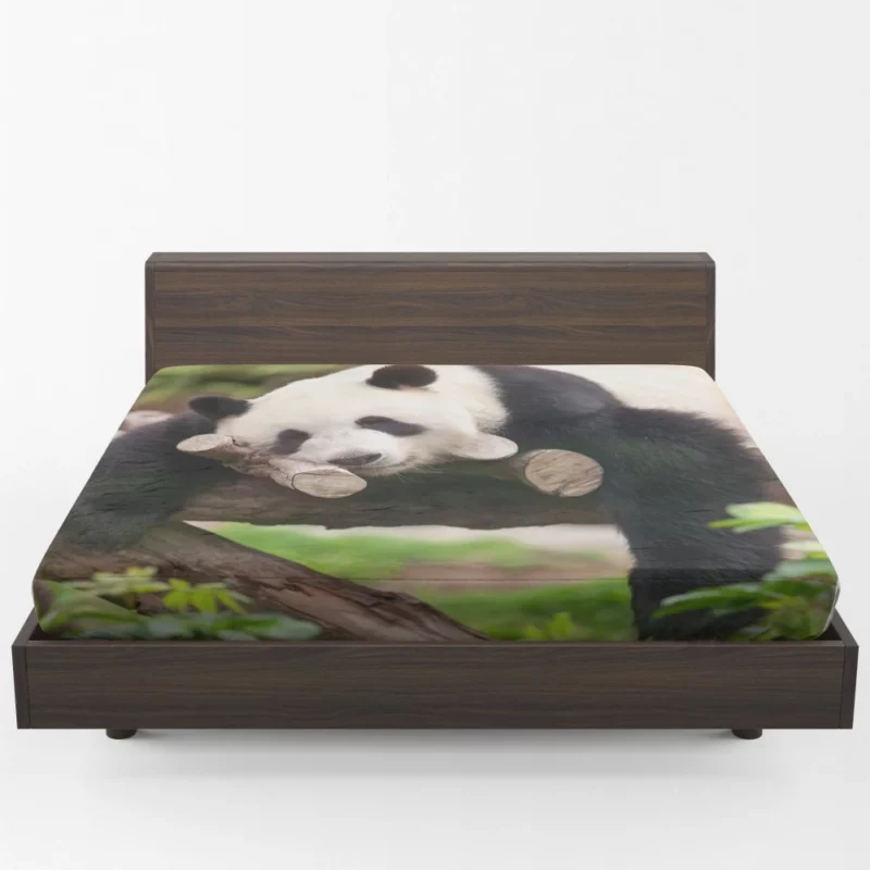 Sleeping Panda Cute Repose Fitted Sheet