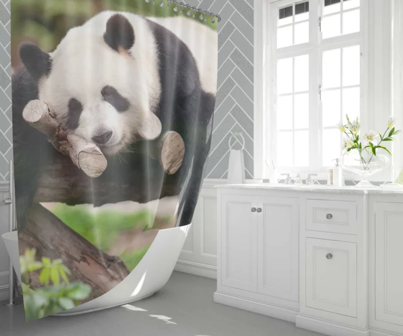 Sleeping Panda Cute Repose Shower Curtain 1