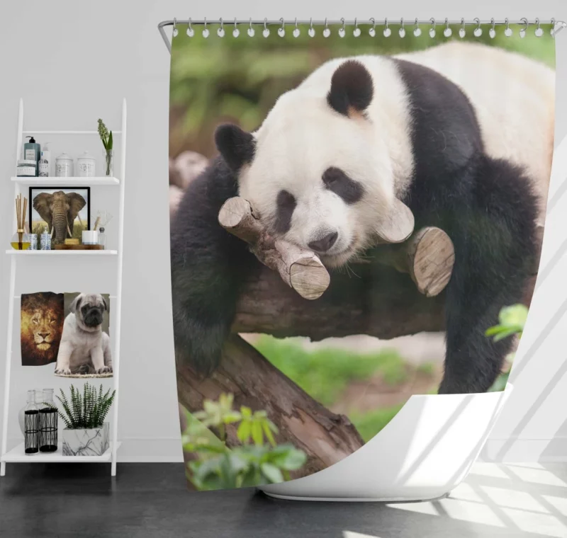 Sleeping Panda Cute Repose Shower Curtain