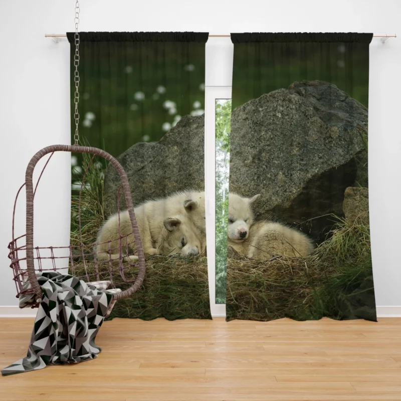 Sleeping Puppies Furry Dreamland Curtain