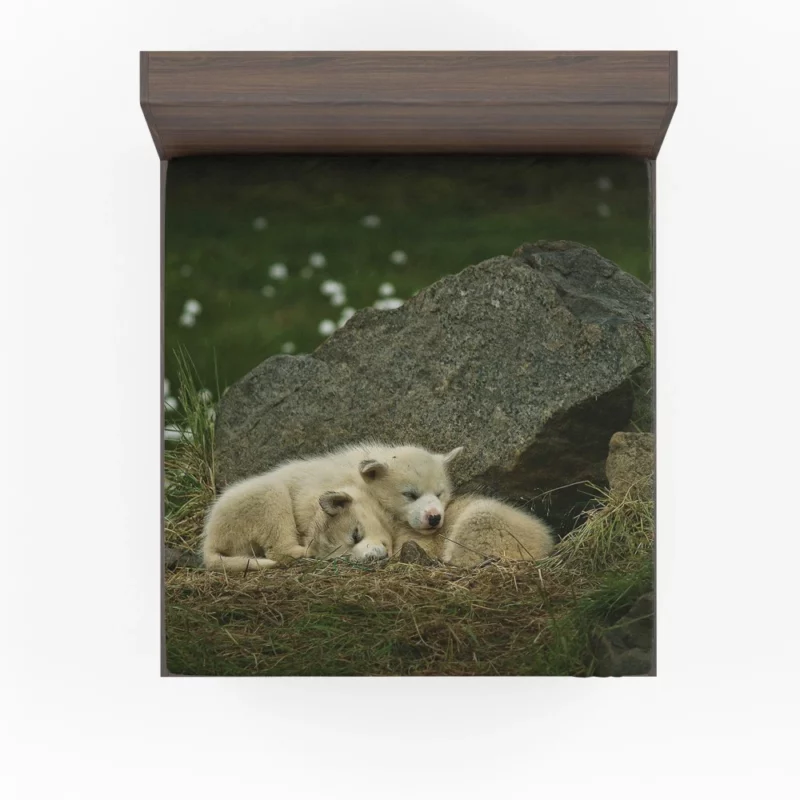 Sleeping Puppies Furry Dreamland Fitted Sheet 1