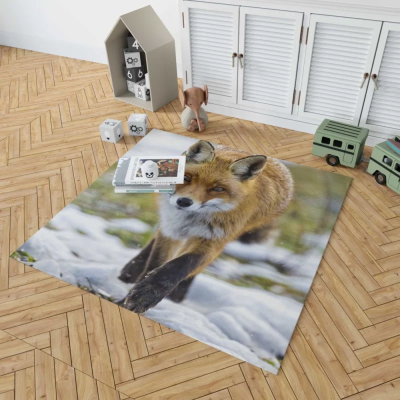 Sly Fox Gaze Exotic Wilderness Rug 1