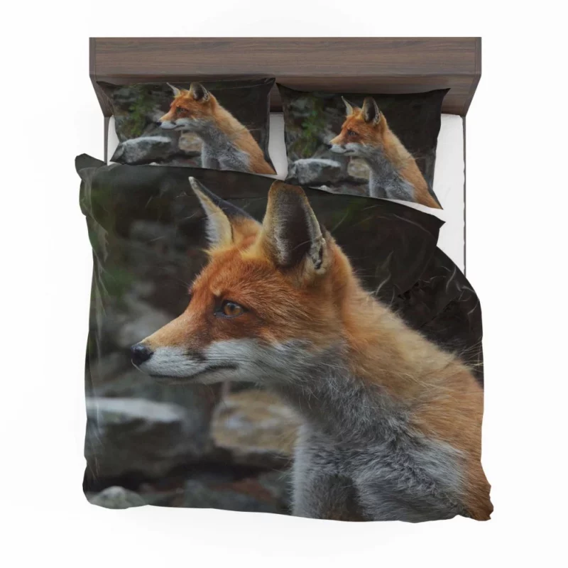 Sly Fox Gaze Nature Curiosity Bedding Set 1