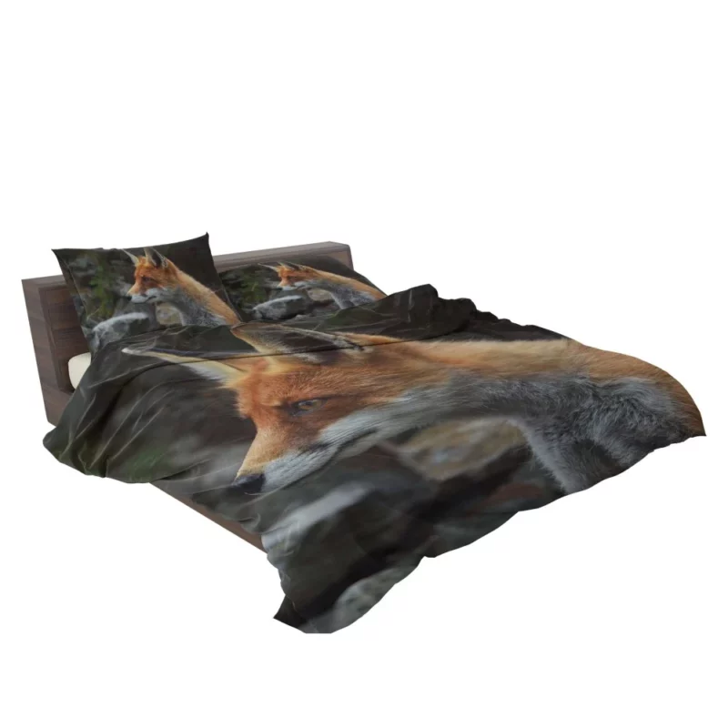 Sly Fox Gaze Nature Curiosity Bedding Set 2