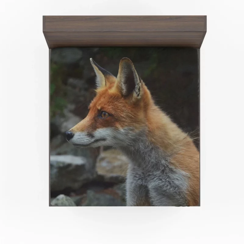 Sly Fox Gaze Nature Curiosity Fitted Sheet 1