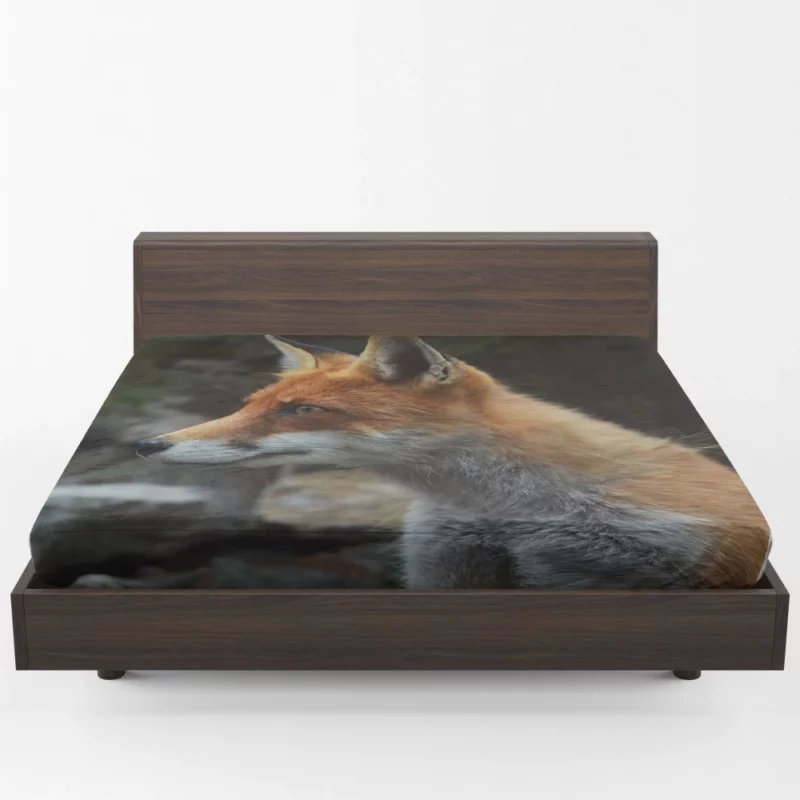 Sly Fox Gaze Nature Curiosity Fitted Sheet