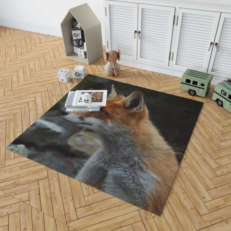 Sly Fox Gaze Nature Curiosity Rug 1