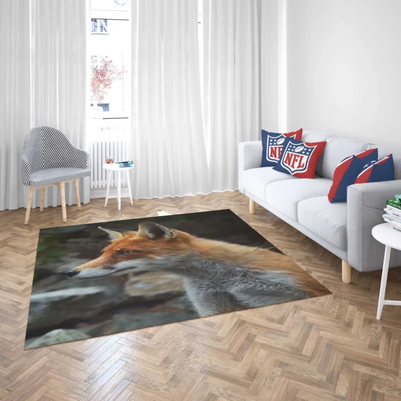 Sly Fox Gaze Nature Curiosity Rug 2