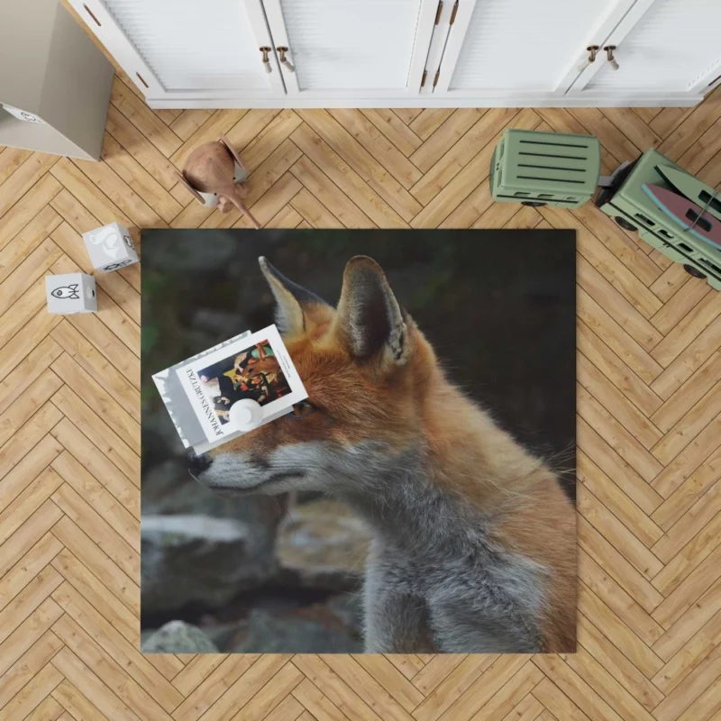 Sly Fox Gaze Nature Curiosity Rug