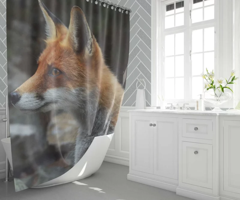 Sly Fox Gaze Nature Curiosity Shower Curtain 1